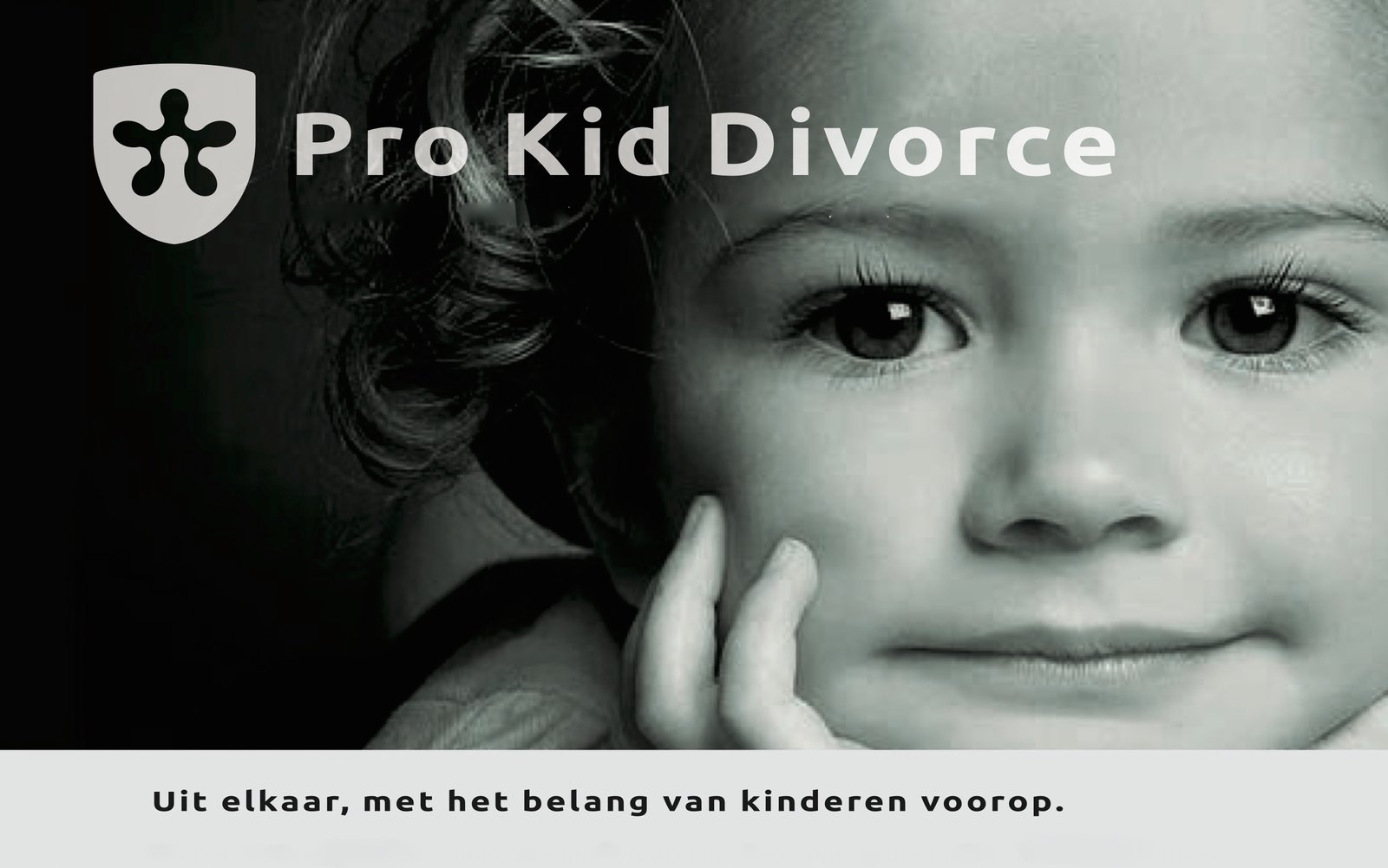 PRO KID DIVORCE website